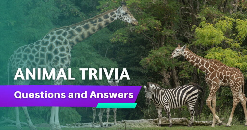 Animal Trivia Questions and answers